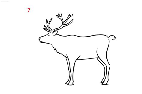 How to draw a Reindeer Reindeer Drawing Ideas