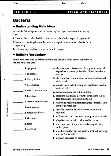 Worksheets For Physical Science