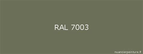 RAL 7003 : Peinture RAL 7003 (Gris mousse) | NuancierPeinture.fr