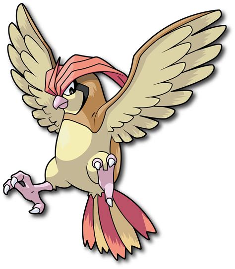 Pokémon 017 (Pidgeotto) | Pokemon firered, Pokemon drawings, 151 pokemon