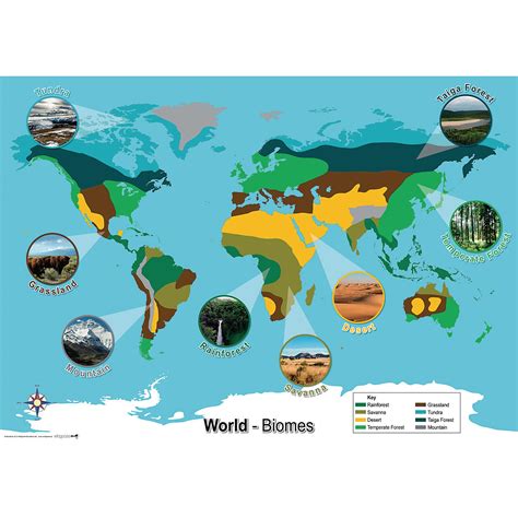 HC1534834 - World Biomes Map | Findel International