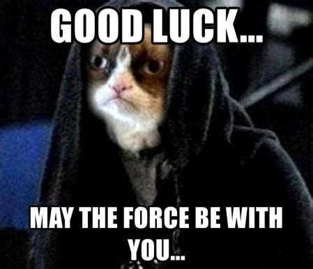 Good Luck Meme Discover more interesting Bro, Cat, Good Luck ...