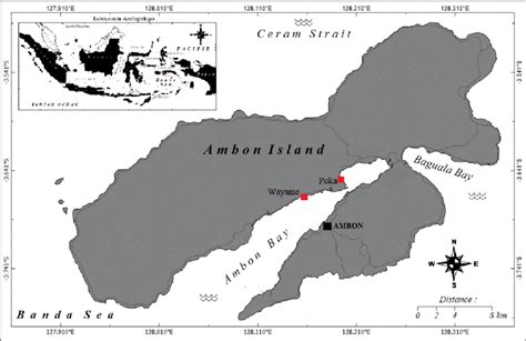 Map of Ambon Island showing the sampling sites | Download Scientific ...