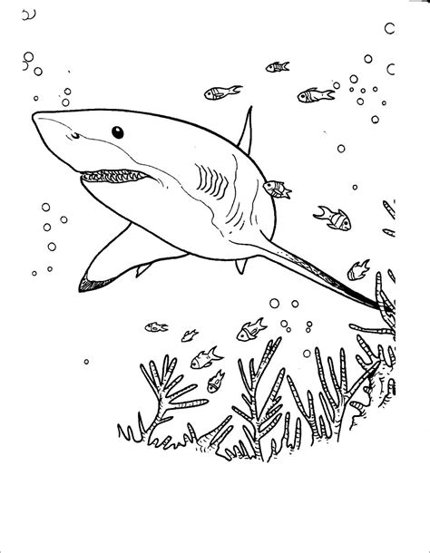 Shark Coloring Pages - ColoringBay