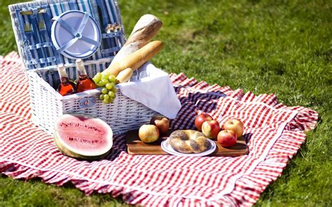 Perfect Picnic Ideas for Summer