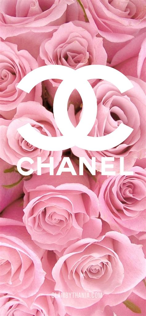 the chanel logo is surrounded by pink roses