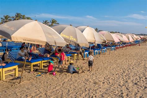 Experience the Vibrant Nightlife of Calangute Beach - Susegad Suites Goa