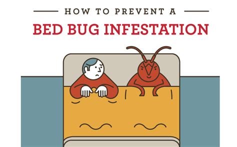 How To Prevent A Bed Bug Infestation [Infographic] - Visualistan