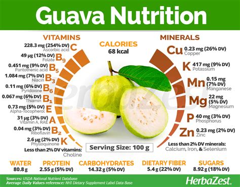 Health Benefits Guava Fruit - health benefits