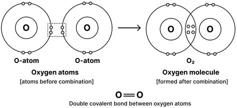 In the formation of (i) Oxygen molecule (ii) Carbon | KnowledgeBoat