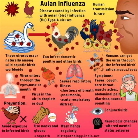 Pathology of Avian Influenza (Bird Flu) - Dr Sampurna Roy MD