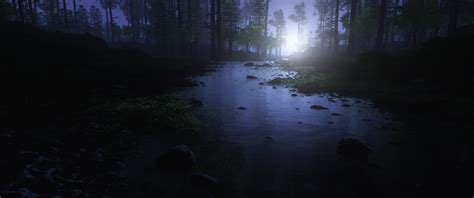 Dark Forest Wallpaper 4K, Water Stream, Trees, Landscape