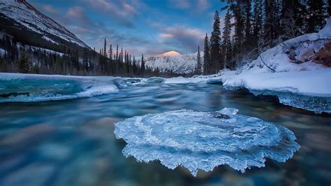 Wallpaper Yukon, Canada, ice, river, trees, winter 1920x1080 Full HD 2K ...