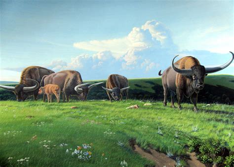 North American Megafauna | Bison latifrons | Animais pré-históricos ...