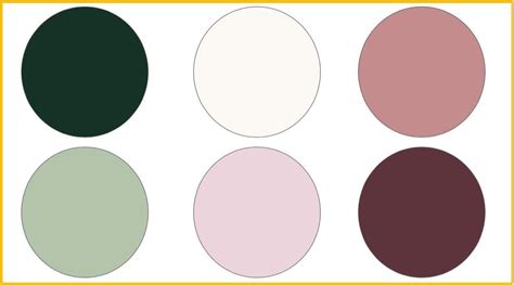 Color palette help! : r/coloranalysis