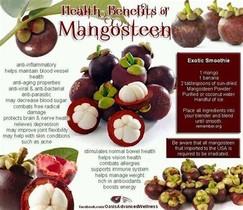 The New [Superfood] Kids on the Block (Part 8): Mangosteen- The GAIA ...