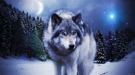 Timber Wolf Wallpaper (66+ images)