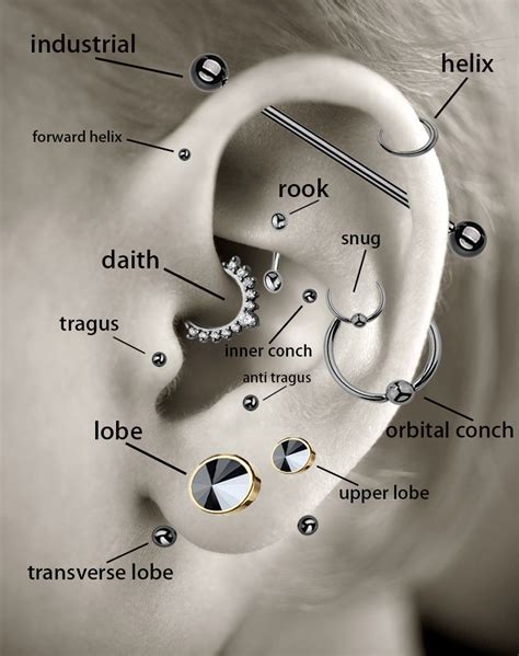 In case you need a helpful diagram of which piercings are which. | Ear ...