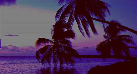 Aesthetic Chill Vibes Wallpapers - Top Free Aesthetic Chill Vibes ...