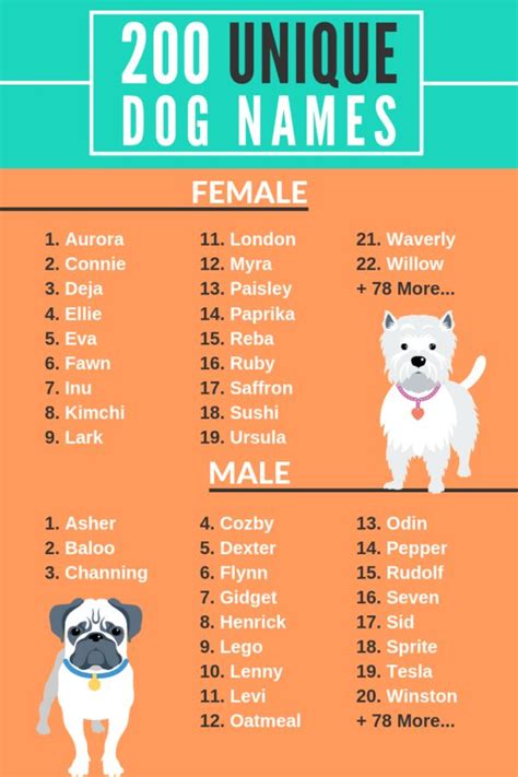 200 Unique Dog Names, Male And Female Dogs dog names | Puppy girl names ...