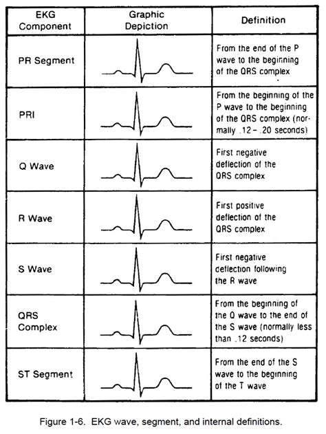 Different Types Of Abnormal Ekg