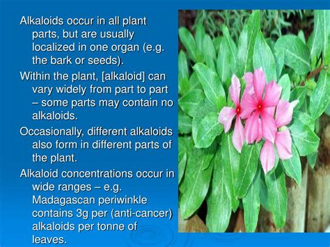 PPT - ALKALOIDS PowerPoint Presentation - ID:149540