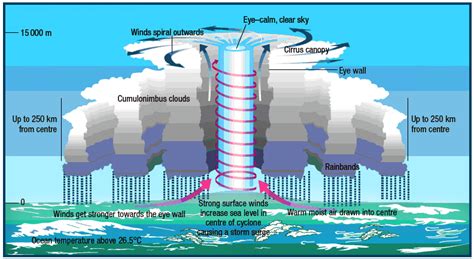 How Tropical cyclone Burevi are formed?|ForumIAS Blog