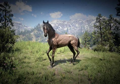 Red Dead Turkoman - Red Dead Redemption 2 Mod