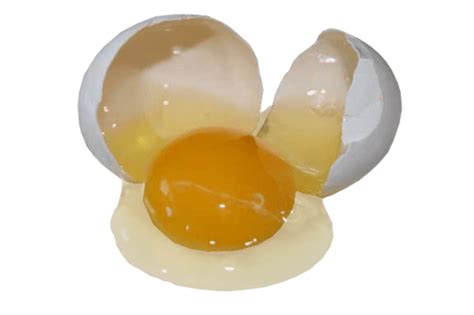 Broken Egg transparent PNG - StickPNG