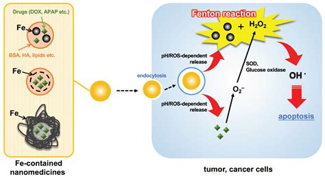 Molecules | Free Full-Text | Current Use of Fenton Reaction in Drugs ...