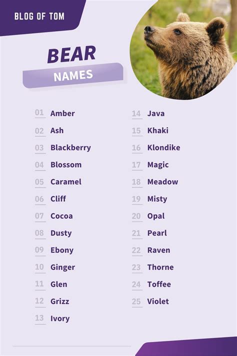 Bear Names (661 Best, Funny, Cute, & Famous Ideas) | Bear names, Polar ...