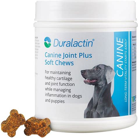 The Best Joint Supplements for Dogs: Veterinarians’ Recommendations ...