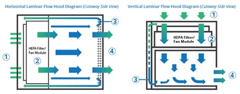 Laminar flow hood/cabinet- Definition, parts, principle, types, uses (2022)