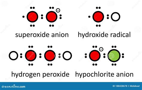 Especies De Oxígeno Reactivas : Peróxido De Hidróxido De Anión Radical ...