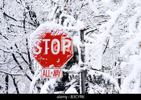 Stop sign covered in snow during a blizzard Stock Photo: 51929251 - Alamy