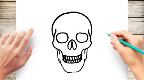 Details more than 73 simple skull sketches - seven.edu.vn