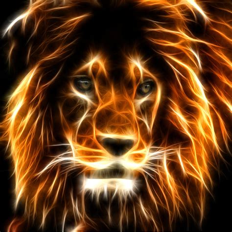 Lion Digital Art by Mark Ashkenazi