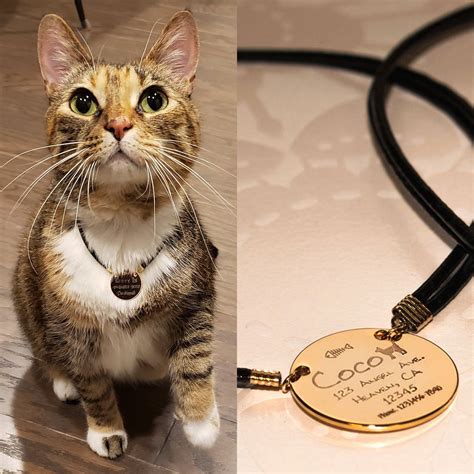 Cat Collar Personalized Necklace Lovely Pet Gift Name Gift for Pet 100% ...