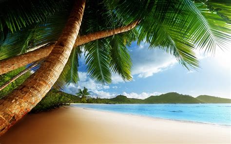 Free Caribbean Beach Wallpapers - Wallpaper Cave