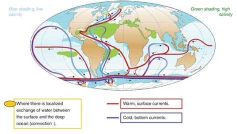 3 Deep ocean circulation. The schematic shows the warm surface currents ...