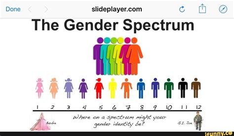 The Gender Spectrum - iFunny