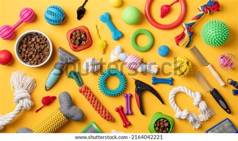 Pet Care Concept Various Pet Accessories Stock Photo 2164042221 ...