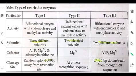 Restriction Enzymes Types