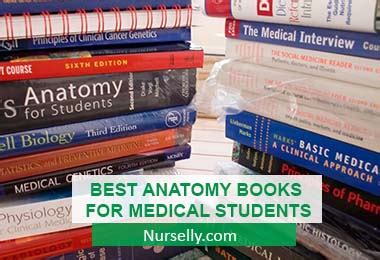 Best Anatomy Books for Medical Students 2024 [Beginner's Guide]