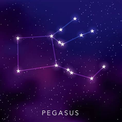 Constellation Pegasus Illustrations, Royalty-Free Vector Graphics ...