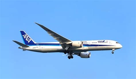 ANAのボーイング787各機材について|機種・シートマップ（座席）|国内線|ANA