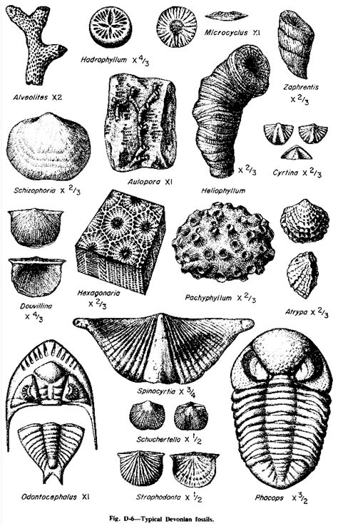 Geologic Column