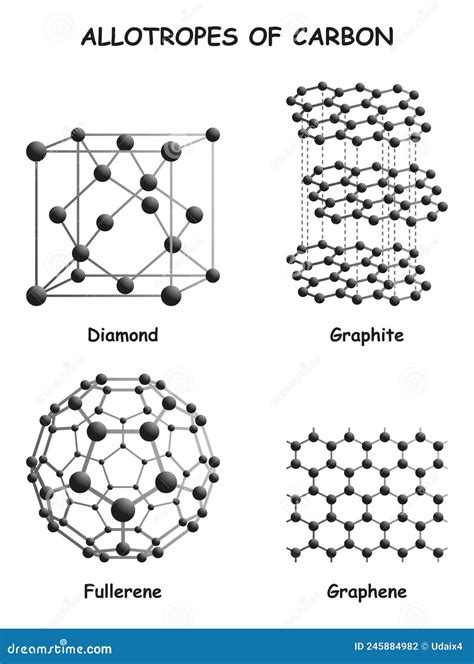 Allotropes Of Carbon Infographic Diagram Vector Illustration ...