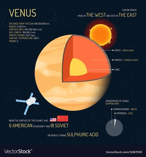 Venus detailed structure with layers Royalty Free Vector