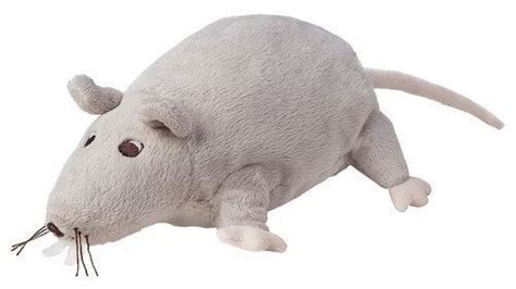 IKEA doesn’t ship Rat plushies in Canada lets make them! : r/Petition